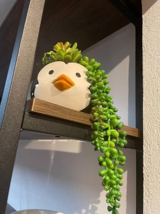 Casa Enxaimel 02 Em 度假居